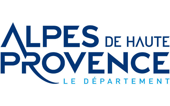 Destruction de nid de guêpes Alpes-de-Haute-Provence