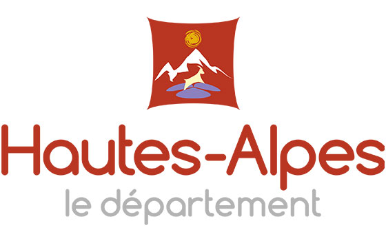 Destruction de nid de guêpes Hautes-Alpes