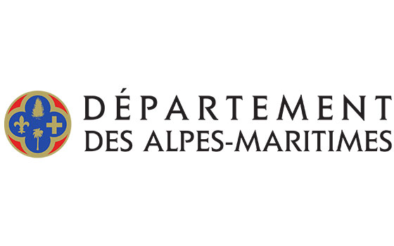 Destruction de nid de guêpes Alpes-Maritimes