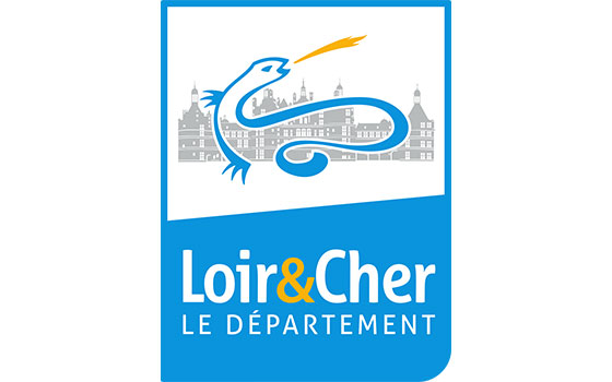 Destruction de nid de guêpes Loir-et-Cher
