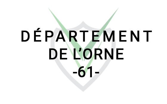 Destruction de nid de guêpes dans le departement Orne