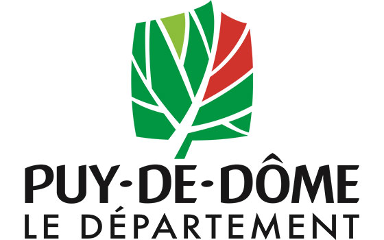 Destruction de nid de guêpes Puy-de-Dôme