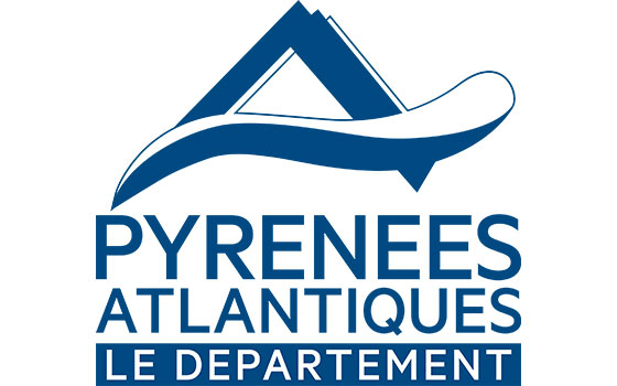 Destruction de nid de guêpes Pyrénées-Atlantiques