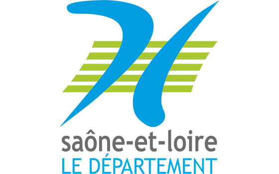 Destruction de nid de guêpes Saône-et-Loire