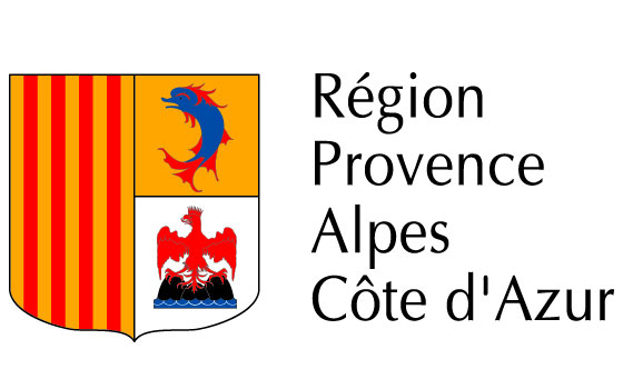 Destruction de nid de guêpes Provence-Alpes-Côte d'Azur