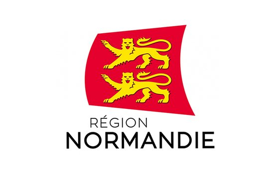 Destruction de nid de guêpes en region Normandie