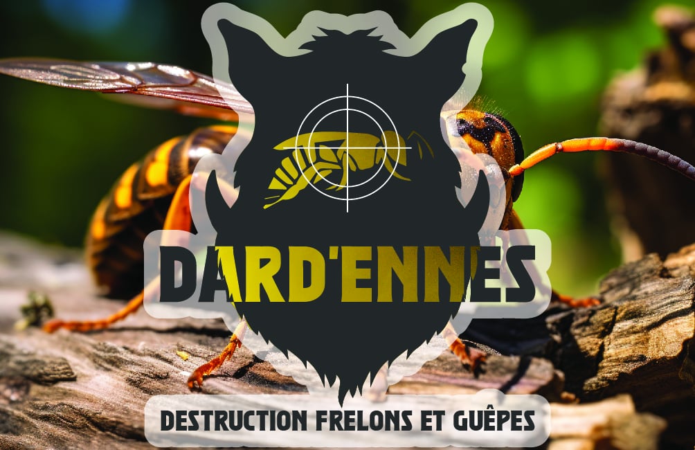 Destruction de nid de frelons à Signy-le-Petit 08380 | Ardennes Valentin